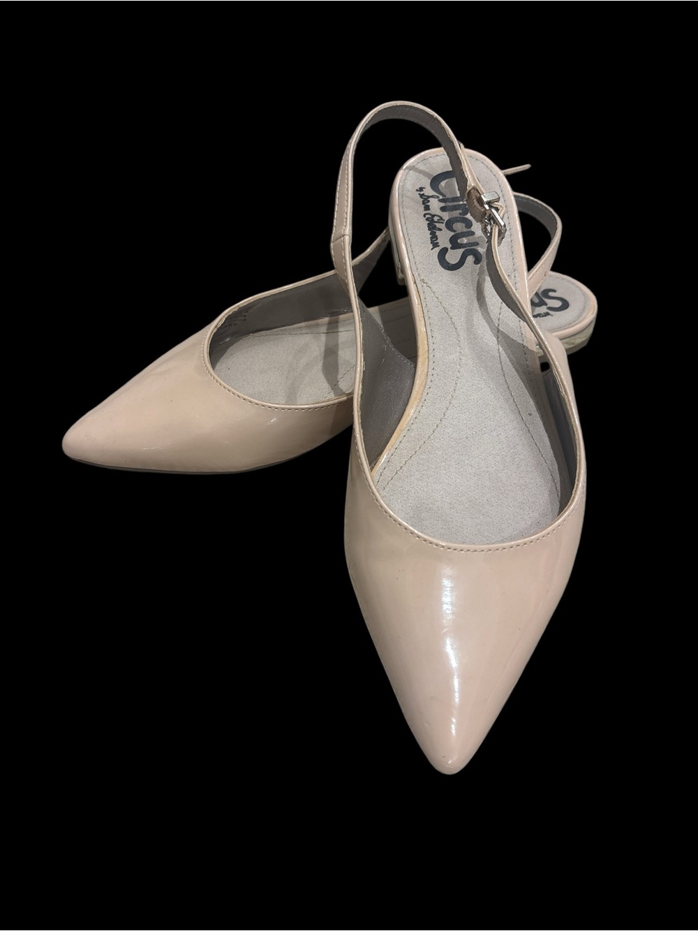 Circus by Sam Edelman Nude Patent Pointed Slingback Flats